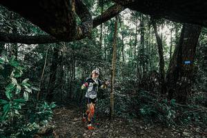 BIB: 
                            <button type="button" onclick="openModal(25389917)" class="btn btn-primary btn-sm float-right btn-popup" data-toggle="modal" data-target=".modal-high-quality">
                        <i class="fas fa-shopping-cart"></i> Add to Cart
                    </button>
                                            <button type="button" onclick="isThisMe(25389917, true)" class="btn btn-success btn-sm float-right btn-popup btn-isme hidden" data-toggle="tooltip" data-placement="bottom" title="นี่คือรูปของคุณใช่ไหม คลิกที่นี่เพื่อเอาเข้าอัลบั้ม">
                        <i class="fas fa-plus"></i> Add to album
                    </button>
                    <button type="button" onclick="isThisMe(25389917, false)" class="btn btn-warning btn-sm float-right btn-popup btn-isnotme hidden">
                        <i class="fas fa-ban"></i> Remove from album
                    </button>